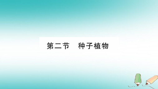 七年级生物上册第3单元第1章第2节种子植物习题课件新版新人教版0919546