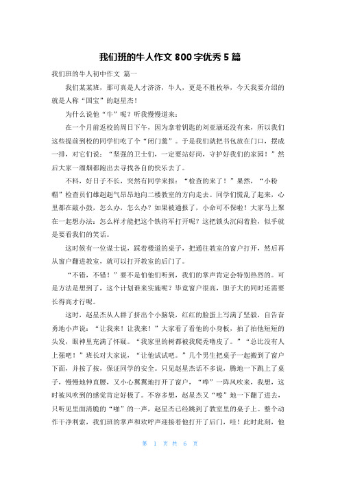 我们班的牛人作文800字优秀5篇