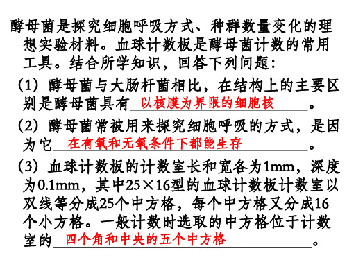 酵母菌实验.ppt