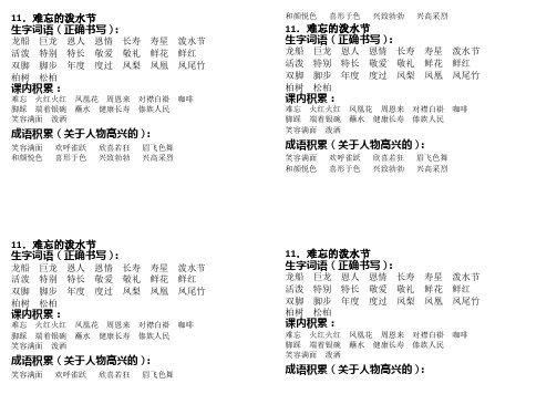 11.难忘的泼水节(书本贴业)