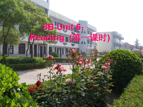 最新精品2020牛津译林版英语八下《Unit 6 A Charity Walk》(Reading)ppt课件1