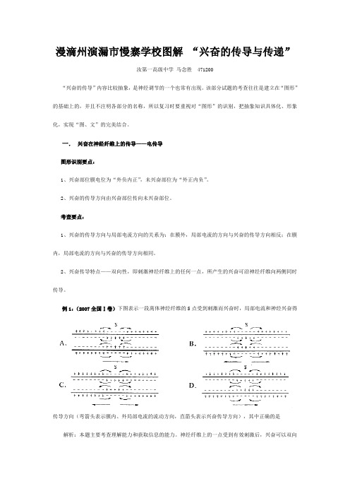 演漏市慢寨学校高考生物图解 兴奋的传导与传递