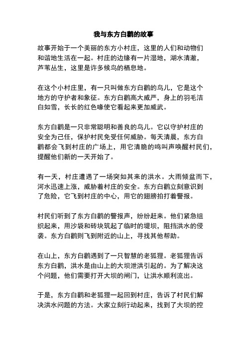 我与东方白鹳的故事