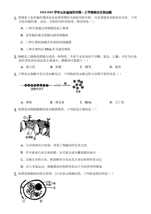 2023-2024学年山东省潍坊市高一上学期期末生物试题