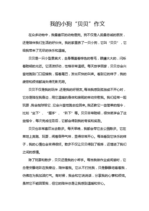 我的小狗“贝贝”作文