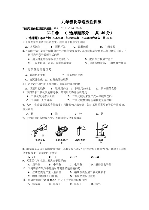 九年级化学适应性训练