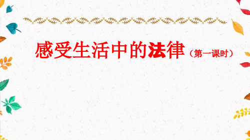 部编版小学道德与法治六年级上册1《感受生活中的法律》课件