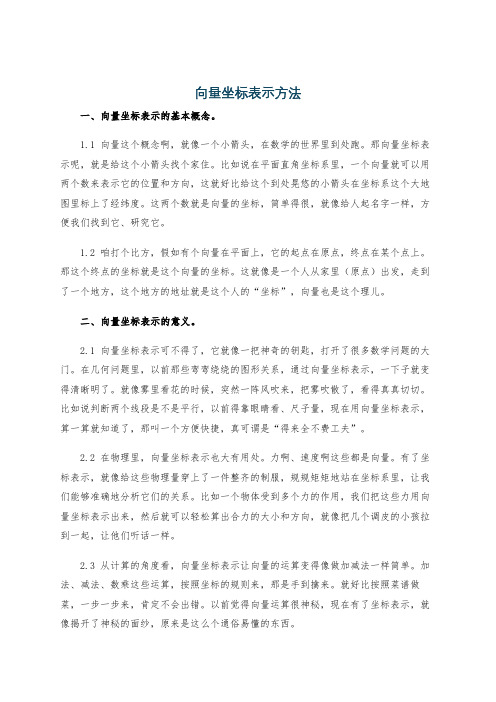 向量坐标表示方法