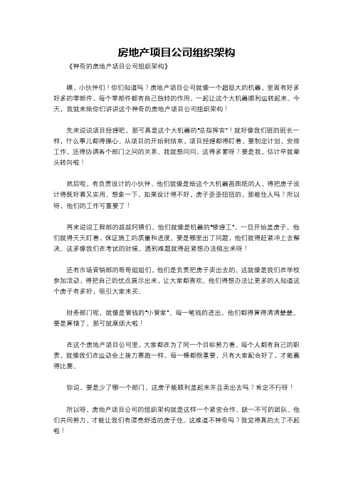 房地产项目公司组织架构