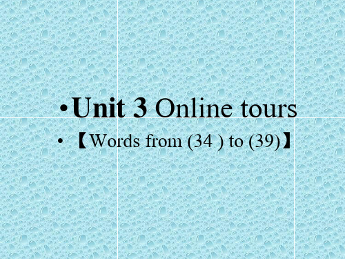 八年级英语下册Unit3Onlinetours课件(新版)牛津版