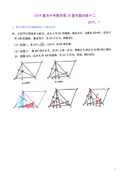 2019重庆中考数学第24题专题训练十二((含答案)