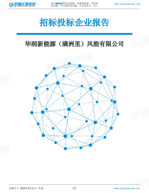 华润新能源(满洲里)风能有限公司-招投标数据分析报告