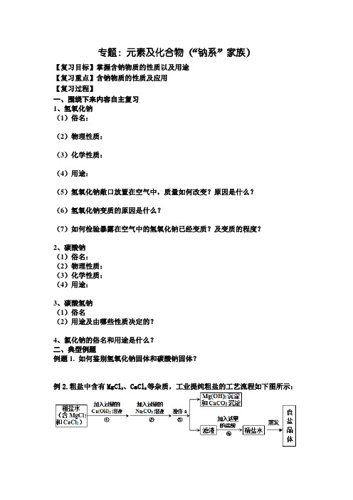 中考化学专题复习导学案： 元素及化合物(“钠系”家族)