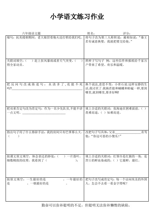 小学六年级语文素养提升练习24 (102)