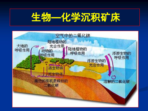 生物化学沉积