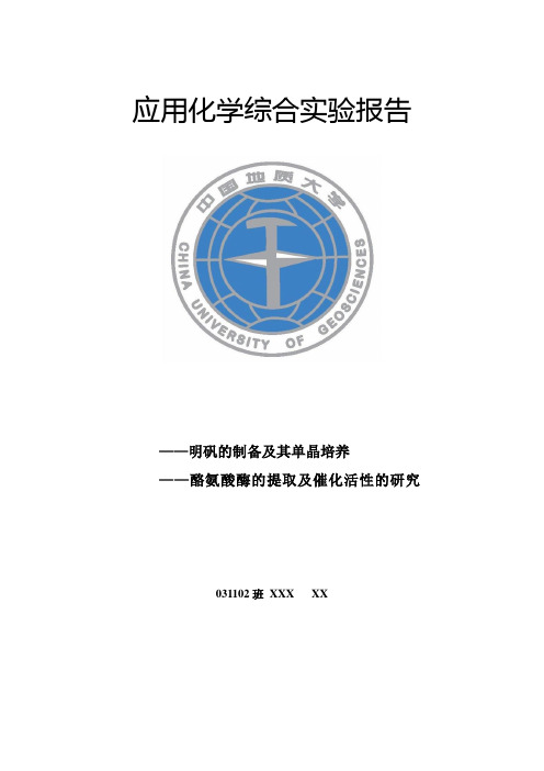 中国地质大学应用化学综合实验报告