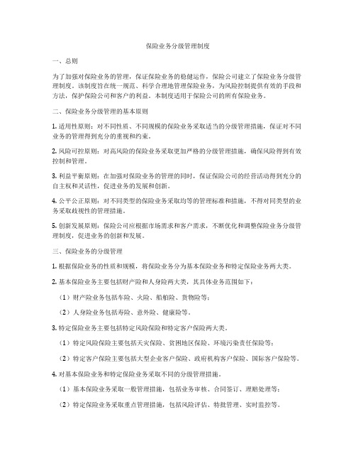 保险业务分级管理制度