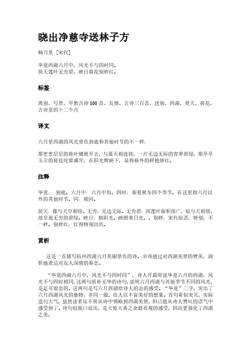 古诗《晓出净慈寺送林子方》(作者杨万里)原文全文、诗意赏析及意思翻译