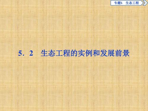 最新高中生物 专题5 生态工程 5.2 生态工程的实例和发展前景名师课件 新人教版选修3