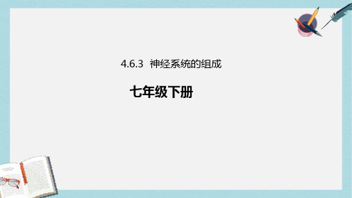 七年级生物下册4.6.2神经系统的组成课件新版新人教版