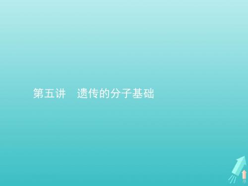 高考生物一轮复习 第五讲 遗传的分子基础课件