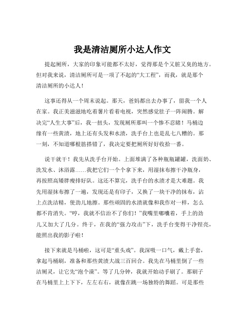 我是清洁厕所小达人作文