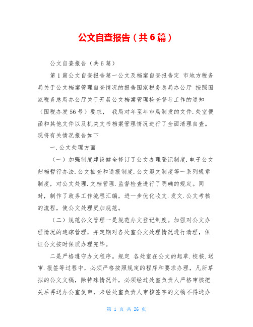 公文自查报告(共6篇)