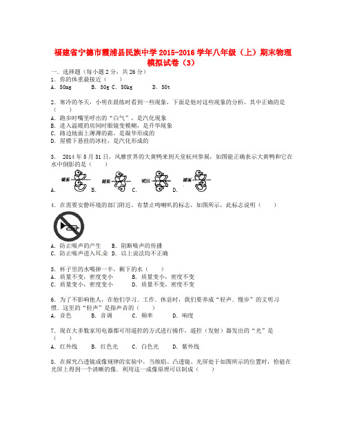 学年人教版物理八年级上学期期末模拟试题3(含解析)
