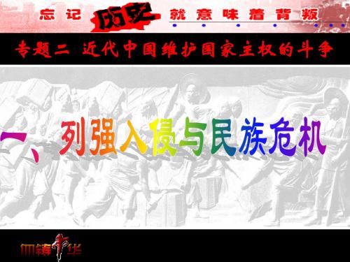 历史：列强入侵与民族危机 课件2(人民版必修一)