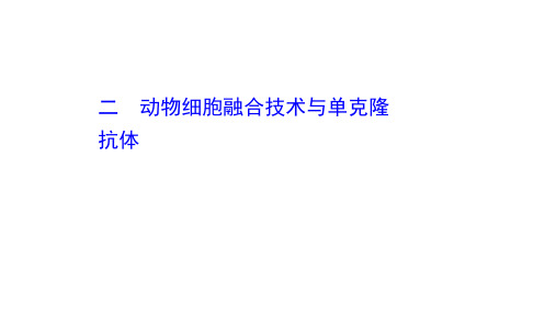 新教材2020-2021版高中生物人教版选择性必修三课件：2.2.2 动物细胞融合技术与单克隆抗体