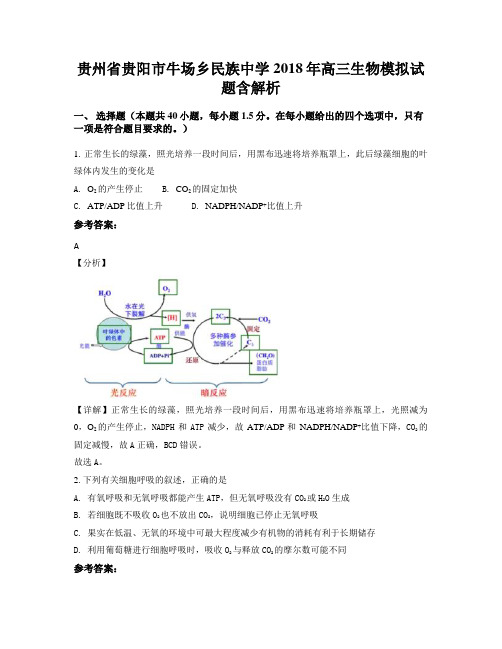 贵州省贵阳市牛场乡民族中学2018年高三生物模拟试题含解析