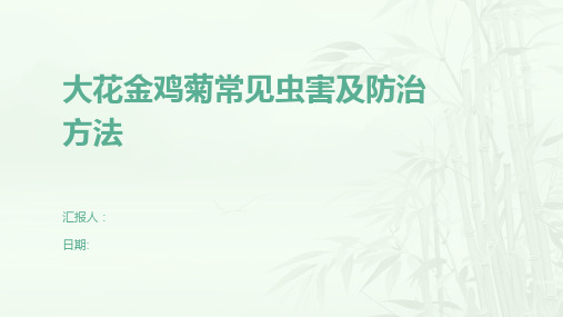 大花金鸡菊常见虫害及防治方法