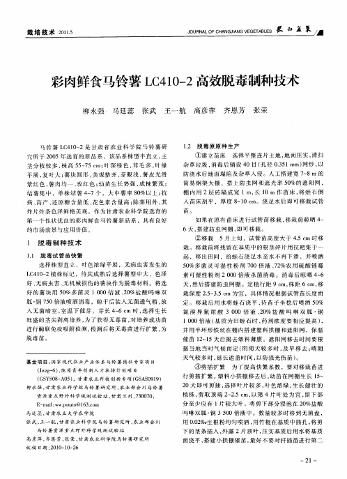 彩肉鲜食马铃薯LC410—2高效脱毒制种技术