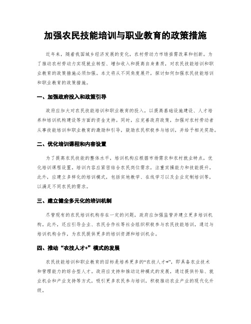 加强农民技能培训与职业教育的政策措施