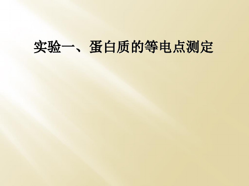 实验一、蛋白质的等电点测定