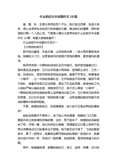 什么的启示半命题作文10篇