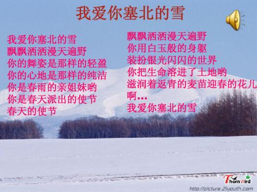 《雪》课件