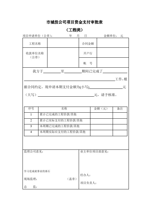 市城投公司项目资金支付审批表