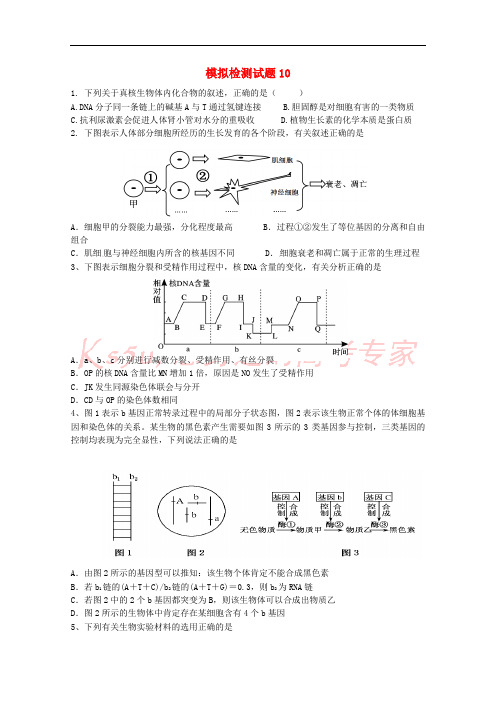 广东省江门市2018年高考生物二轮复习模拟检测试题10