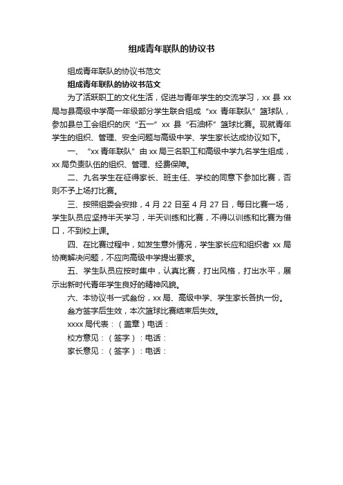 组成青年联队的协议书范文