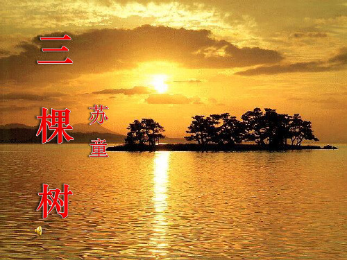 《三棵树》北师大版九年级语文下册课件ppt(2篇)