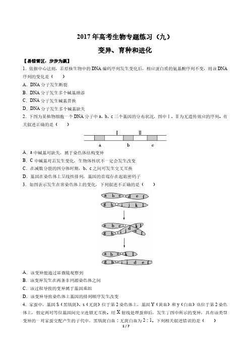 2017年高考生物-变异、育种和进化-专题练习(九)