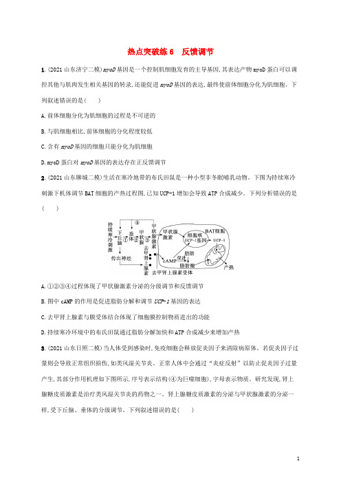 新教材高考生物二轮复习热点突破练6反馈调节含解析