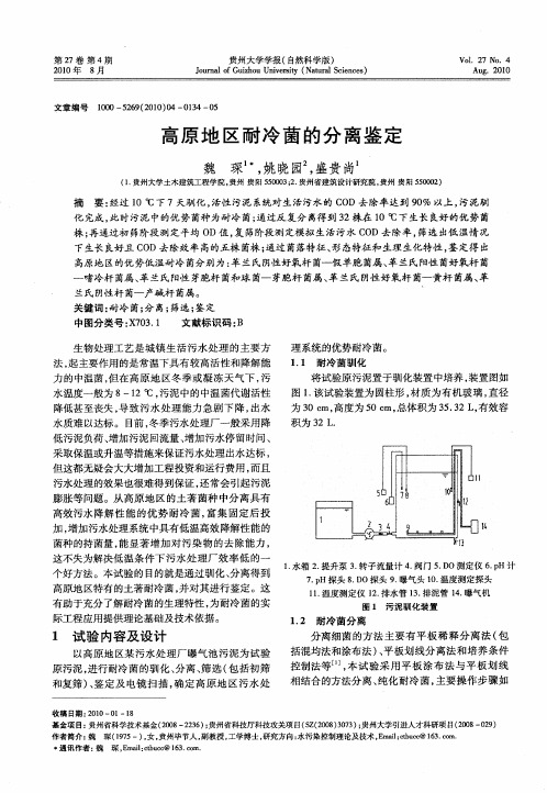 高原地区耐冷菌的分离鉴定