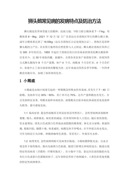 狮头鹅常见病的发病特点及防治方法