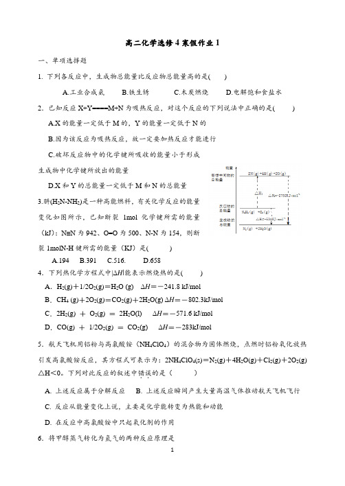 高二化学选修4寒假作业