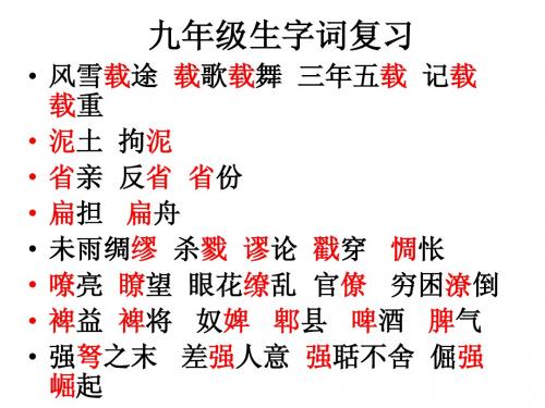九年级生字词复习