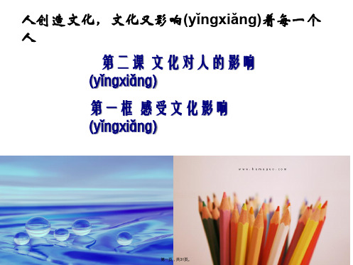 湖南省新田县第一中学高中政治课件必修321感受文化的影响共30张