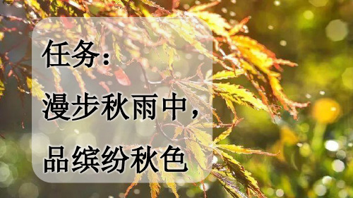 三年级语文《秋天的雨》PPT课件