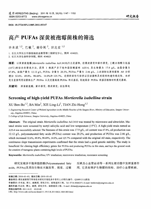 高产PUFAs深黄被孢霉菌株的筛选